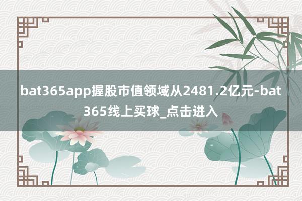 bat365app握股市值领域从2481.2亿元-bat365线上买球_点击进入