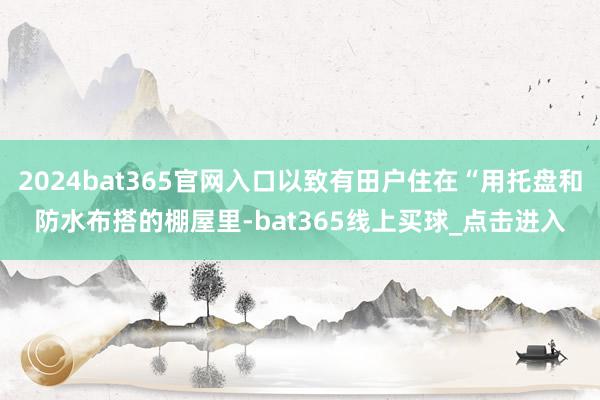 2024bat365官网入口以致有田户住在“用托盘和防水布搭的棚屋里-bat365线上买球_点击进入